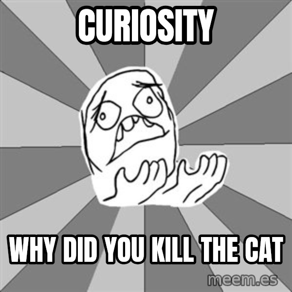 Whyyy??? meme: curiosity / why did you kill the cat