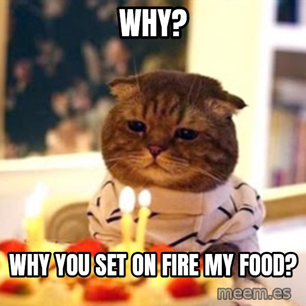 Birthday Cat meme: why? / why you set on fire my food?