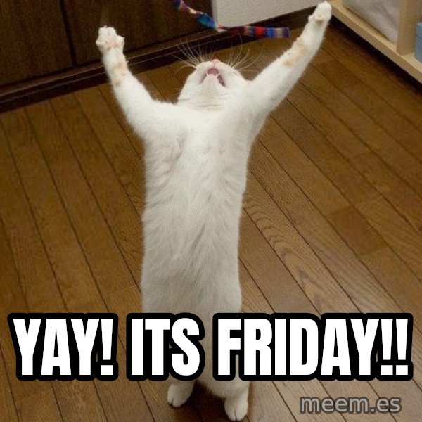 praise the lord cat meme: YAY! ITS FRIDAY!!