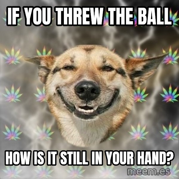 Stoner Dog meme: if you threw the ball / how is it still in your hand?