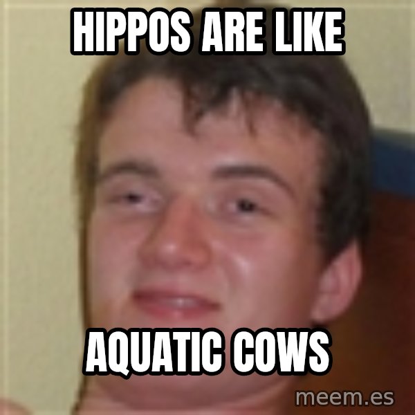 10guy meme: Hippos are like / aquatic cows