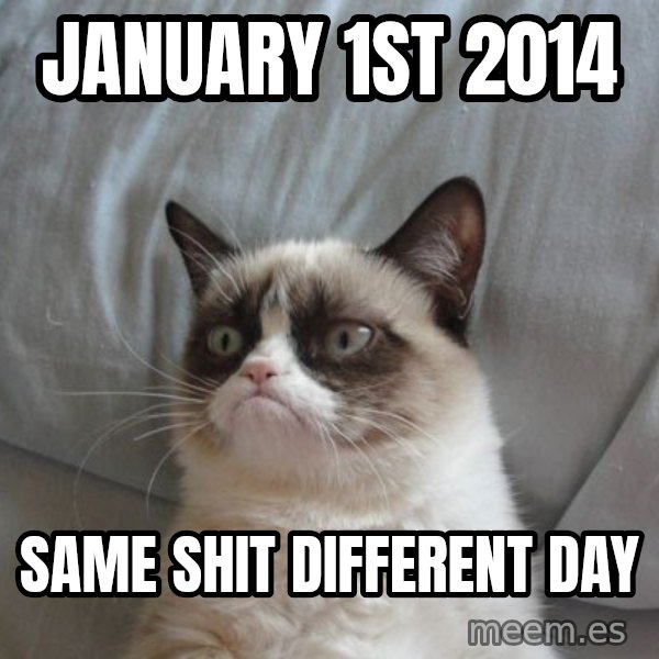 Grumpy cat good meme: january 1st 2014 / same shit  different day