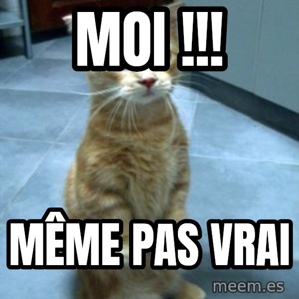 Sadcat meme: Moi !!! / Même pas vrai