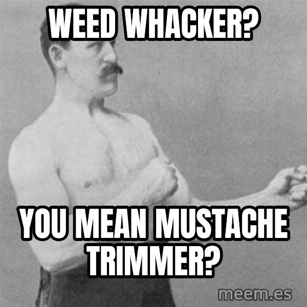 overly manlyman meme: weed whacker? / you mean mustache trimmer?