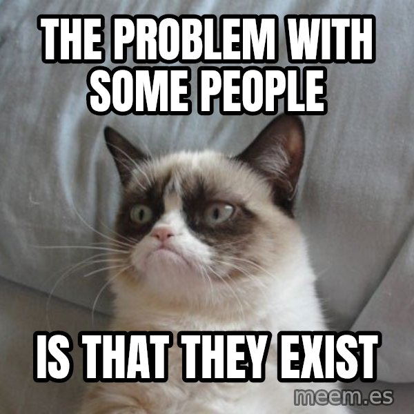 Grumpy cat good meme: The problem with some people / is that they exist