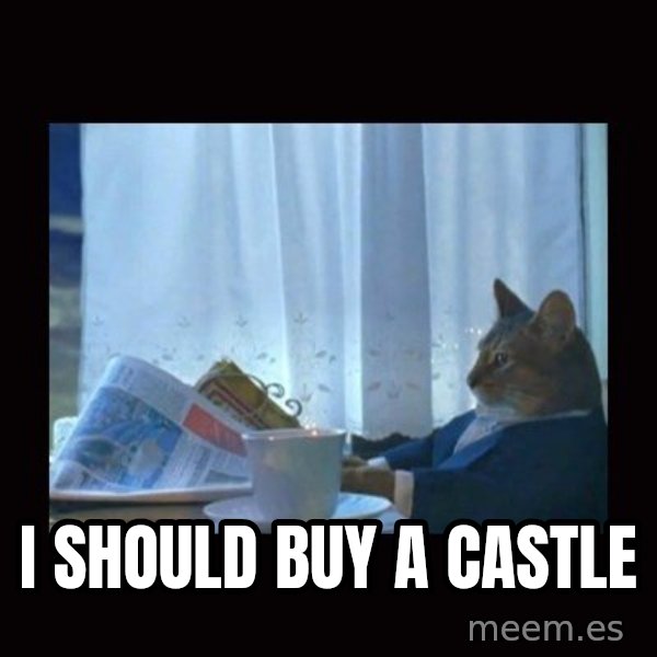 i should buy a boat cat meme: I should buy a castle