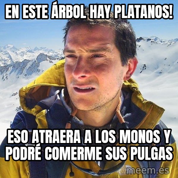 Bear Grylls Loneliness meme: en este ÁRBOL hay platanos! / eso atraera a los monos y podré comerme sus pulgas