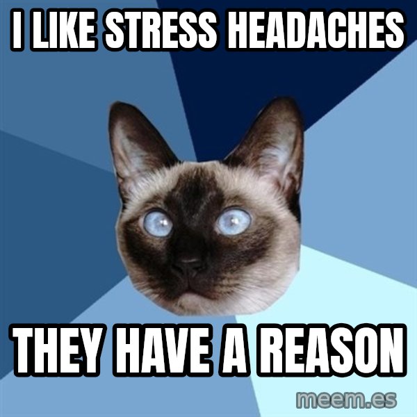 Chronic Illness Cat meme: i like stress headaches / they have a reason