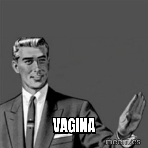 Correction Guy meme: vagina