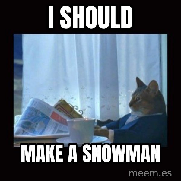 i should buy a boat cat meme: I SHOULD / MAKE a SNOWMAN
