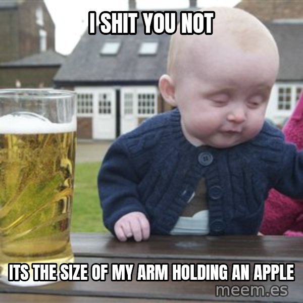 drunk baby 1 meme: I shit you not / its the size of my arm holding an apple