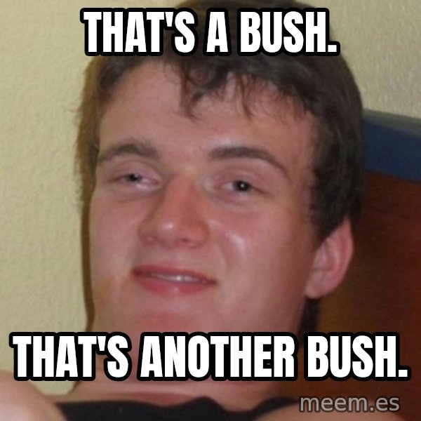 Stoner Guy meme: That's a bush. / That's another bush.