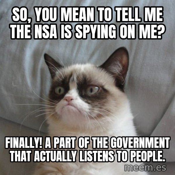 Grumpy cat good meme: So, you mean to tell me the NSA is spying on me? / Finally! A part of the government that actually listens to people.