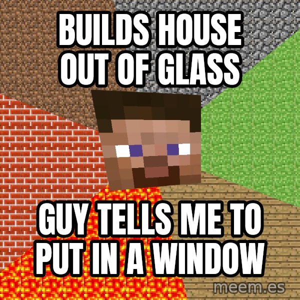 Minecraft Guy meme: Builds house out of glass / guy tells me to put in a window