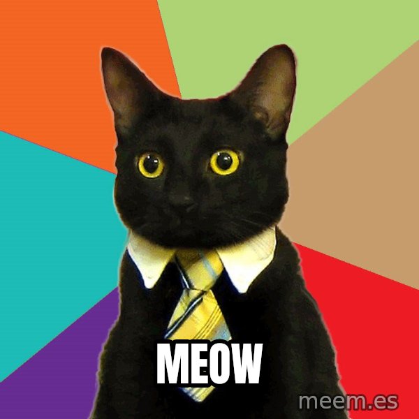 Business Cat meme: meow