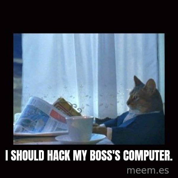 i should buy a boat cat meme: i should hack my boss's computer.