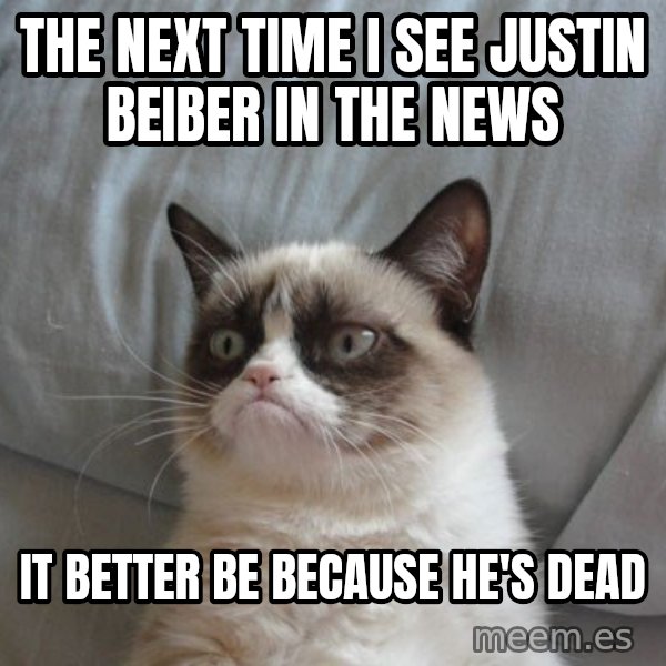 Grumpy cat good meme: the next time i see justin beiber in the news / it better be because he's dead