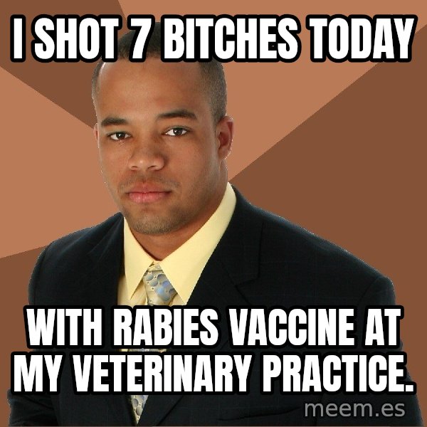Successful Black Man meme: i shot 7  bitches today / with rabies vaccine at my veterinary practice.