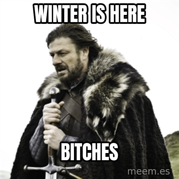 Ned Stark meme: Winter is here / Bitches