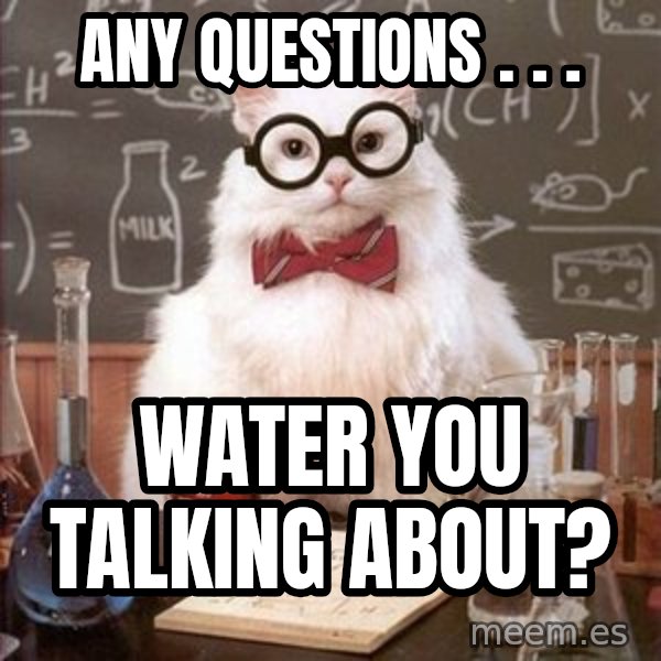 Chemistry Cat meme: Any Questions . . . / Water you talking about?