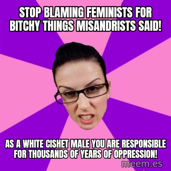 Privilege Denying Feminist meme: stop blaming feminists for bitchy things misandrists said! / as a white cishet male you are responsible for thousands of years of oppression!