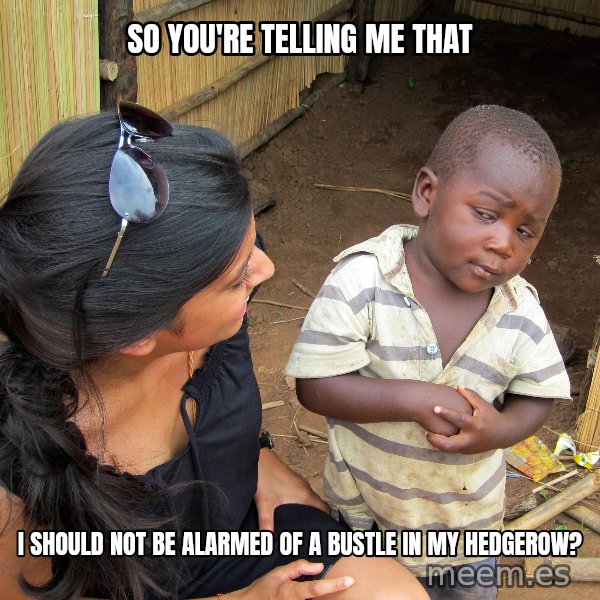 Skeptical African Child meme: SO you're telling me that / I should not be alarmed of a bustle in my hedgerow?