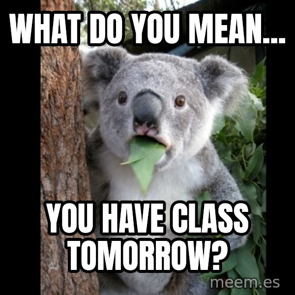 Koala can't believe it meme: What do you mean... / You have class tomorrow?