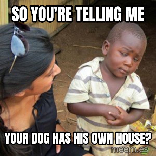 Skeptical 3rd World Kid meme: so you're telling me / your dog has his own house?