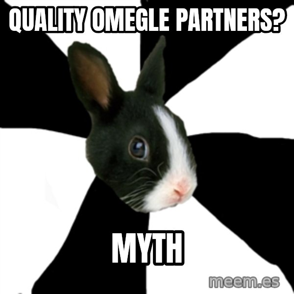 Roleplaying Rabbit meme: quality omegle partners? / myth