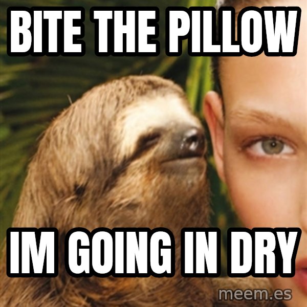 The Rape Sloth meme: Bite the pillow / im going in dry