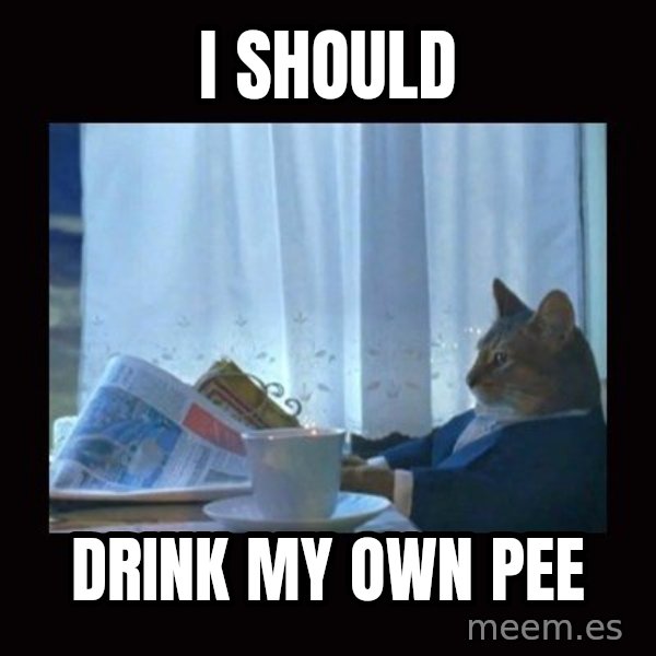 i should buy a boat cat meme: i should / drink my own pee