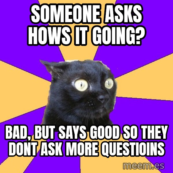 Anxiety Cat meme: Someone asks hows it going? / Bad, but Says good so they dont ask more questioins