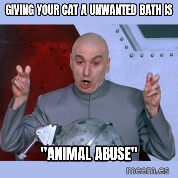 Dr Evil meme meme: giving your cat a unwanted bath is / "animal abuse"