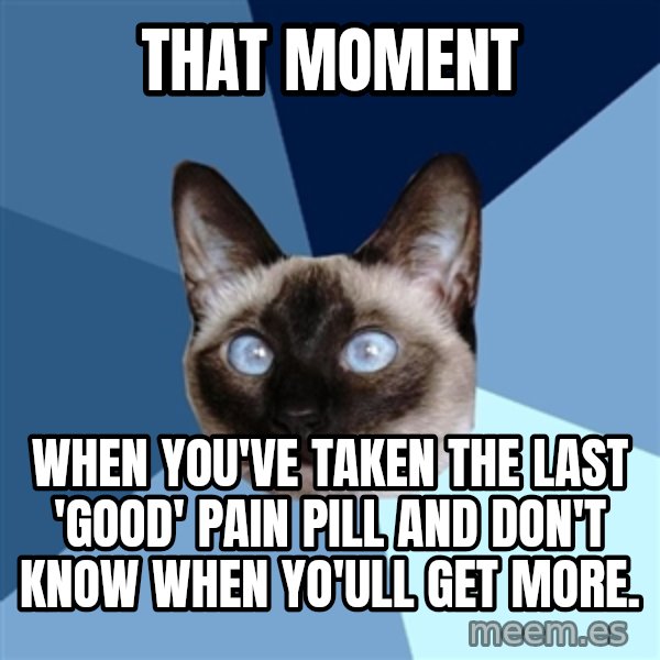 Chronic Illness Cat meme: That moment / when you've taken the last 'good' Pain Pill and don't know when yo'ull get more.