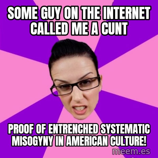 Privilege Denying Feminist meme: some guy on the internet called me a cunt / proof of entrenched systematic misogyny in american culture!