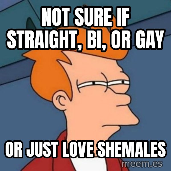 Not sure if troll meme: not sure if straight, bi, or gay / or just love shemales