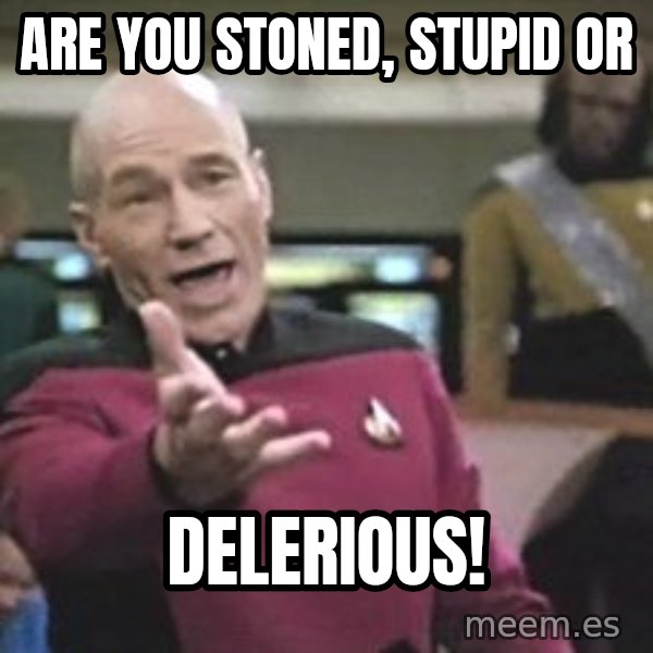 Captain Picard meme: Are you stoned, stupid or / delerious!