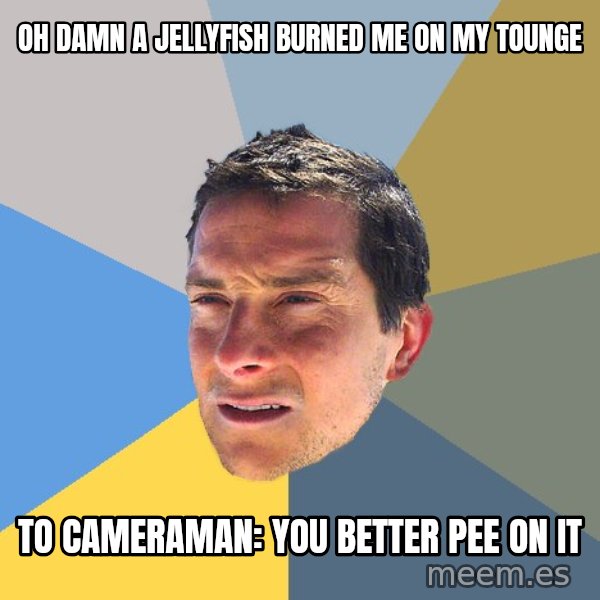 Bear Grylls meme: Oh damn a jellyfish burned me on my tounge / To cameraman: You better pee on it
