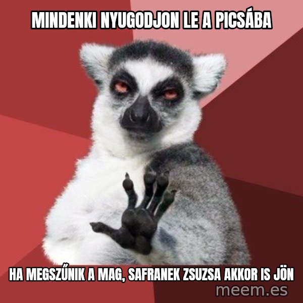 Chill Out Lemur meme: mindenki nyugodjon le a picsába / ha megszűnik a mag, safranek zsuzsa akkor is jön