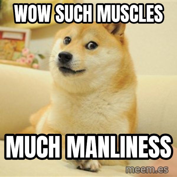 so doge meme: WOW SUCH MUSCLES / MUCH MANLINESS
