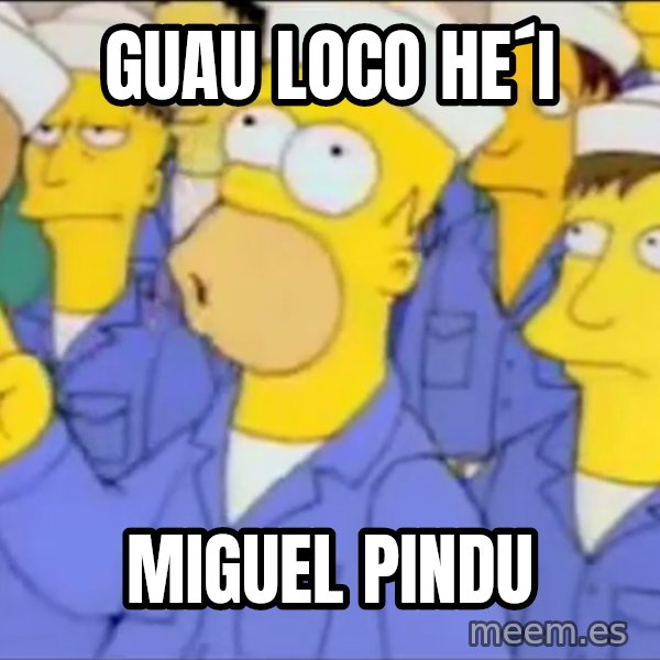 Homero Simpson Atomico meme: guau loco he´i / miguel pindu