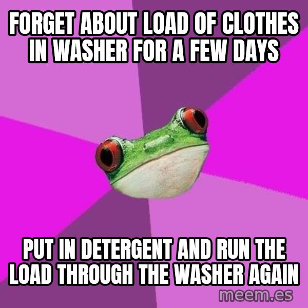 Foul Bachelorette Frog meme: Forget about load of clothes in washer for a few days / Put in detergent and run the load through the washer again