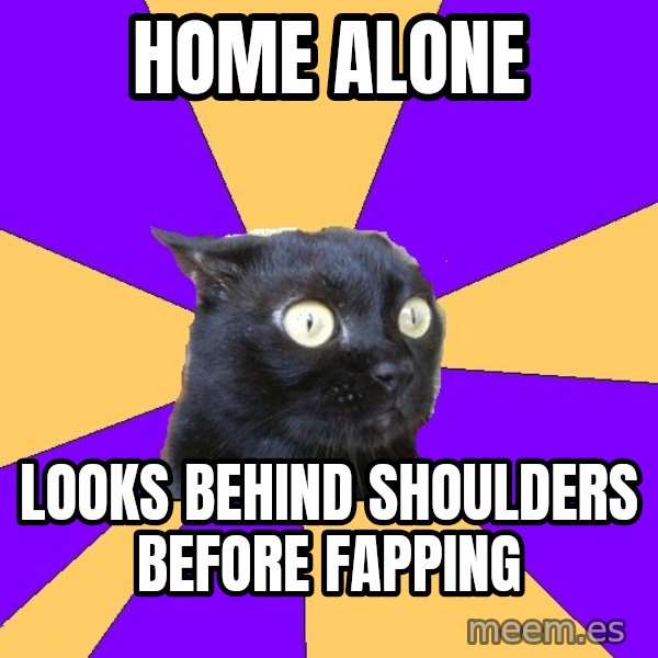 Anxiety Cat meme: home alone / looks behind shoulders before fapping