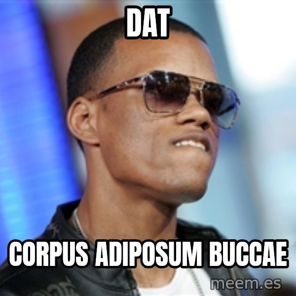 Dat Ass meme: Dat / Corpus adiposum buccae