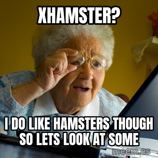 Internet Grandma Surprise meme: XHAMSTER? / I DO LIKE HAMSTERS THOUGH SO LETS LOOK AT SOME