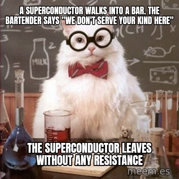 Chemistry Cat meme: A superconductor walks into a bar. the bartender says "we don't serve your kind here" / the superconductor leaves without any resistance