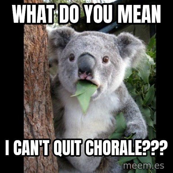 Koala can't believe it meme: What do you mean / I can't quit chorale???