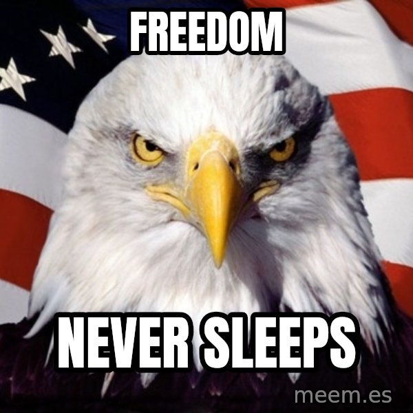 American Pride Eagle meme: Freedom / Never Sleeps