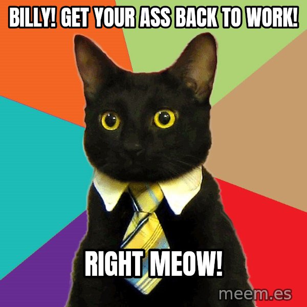 Business Cat meme: Billy! Get your ass back to work! / Right Meow!