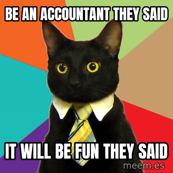 Business Cat meme: Be an accountant they said / It will be fun they said
